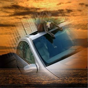 Meet your Posher, Willie